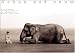 Boy reading to elephant: New York exhibition (giant poster) (Ashes and Snow Posters)