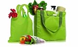 BlueAvocado Starter Kit Reusable Grocery Bag System, Kiwi/Wildflower