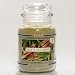 Electronics : 22OZ SAGE & CINNAMON YANKEE CANDLE