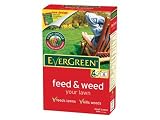 Review Levington  / Levingt Evergreen Feed & Weed 100M2