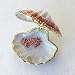 Seashell Box with Crab Swarovski Crystals 24K Gold Jewelry, Trinket, Pill Box FREE SHIP! Certificate