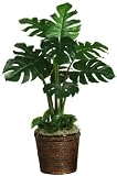 Monstera Silk Plant ( Real Touch ) - B001RIQDMS