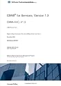 CMMI for Services Version 1.3