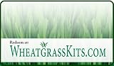 Wheatgrasskits.com $200 Gift Card - Wheatgrass, Sprouts, Juicers & More