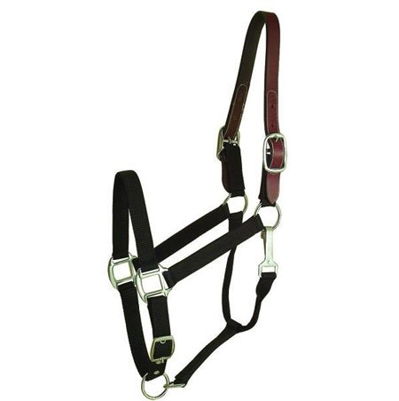 Gatsby Breakaway Halter, Cobb Black