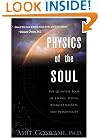 Physics of the Soul: The Quantum Book of Living, Dying, Reincarnation and Immortality