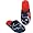 Houston Texans
