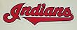 Cleveland Indians MLB Large Team Name Car Magnet