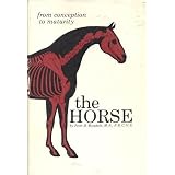 the Horse