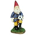 Soccer Gnome