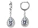 3.82 cttw 925 Sterling Silver Genuine Aquamarine Earrings