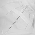Clear Bubble Umbrella With White Trim