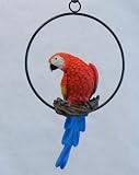 Red Blue Wall Art Parrot Statue Indoor Outdoor Tropical Room