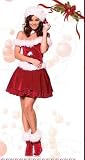 Sexy Santas Secret Ladies Costume