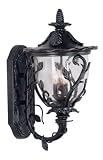 70202EP - Hunter / Kenroy Meadow Outdoor Med Wall Lantern