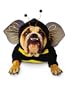 Zelda Bee Dog Costume - Pet Costume
