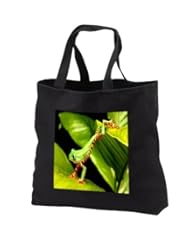 Apparel: Florene - Animals - image of real tree frog jumping - Tote Bags - Black Tote Bag 14w x 14h x 3d