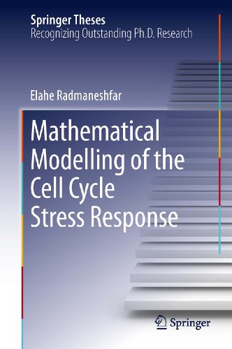 Mathematical Modelling of the Cell Cycle Stress Response (Springer Theses)