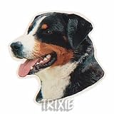 Eigenschaften Trixie  / Aufkl. Appenzeller Sennenhund, (K)