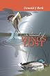 In Search of Wings Lost