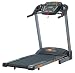 York Fitness York T301 Treadmill