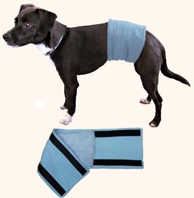 Male Wrap, Dog Belly Band - Housetraining / Housebreaking Aid (32.5-36" Waist)