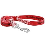 NHL Detroit Red Wings 6' Red Dog Leash (Large)