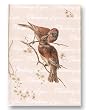 Thinking of You with Kissing Birds - 5" x 7" Vellum Overlay Greeting Card