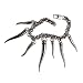 D&G Damen-Armband Pepper DJ0027