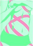 Ishin Nishio Anime Project: Bakemonogatari Clear File Set a (Hitagi)