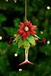 7" Patience Brewster Krinkles Poinsettia Girl Christmas Ornament