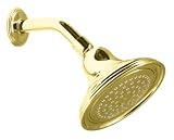 KOHLER K-10391-PB Devonshire Single-Function Showerhead, Vibrant Polished Brass
