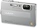 Panasonic Lumix DMC-FP8 12.1MP Digital Camera with 4.6x POWER Optical Image Stabilized Zoom and 2.7-inch LCD (Silver)