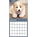 TF Publishing Puppies Office 2017 Wall Calendar (17-1011)