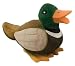 Kitchen & Housewares : Squeeze Meeze Toy - Duck