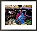 Woman Selling Vegetables at Gulmandi Road Bazaar, Aurangabad, Maharashtra, India Places Framed Art Poster Print by Richard I'Anson, 22x18