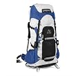 Jansport Whittaker LR Backpack (Skydiver Blue)