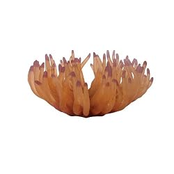 Atlantic Anemone Coral - Pink - 7 in. x 7 in. x 4 in.