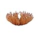 Atlantic Anemone Coral - Pink - 7 in. x 7 in. x 4 in.