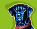 Black Lab Art Print on Canvas