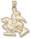 Miami Hurricanes Solid 10K Gold Fighting Ibis 3/4'' Pendant