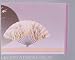 Miami-Ft. Lauderdale-Dallas 1984 By Jeff Kahn. Size: 24 x 30 Inches. Rare Art Print