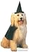 Pet Black Witch Dog Costume For Large Dogs