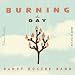 Burning The Day