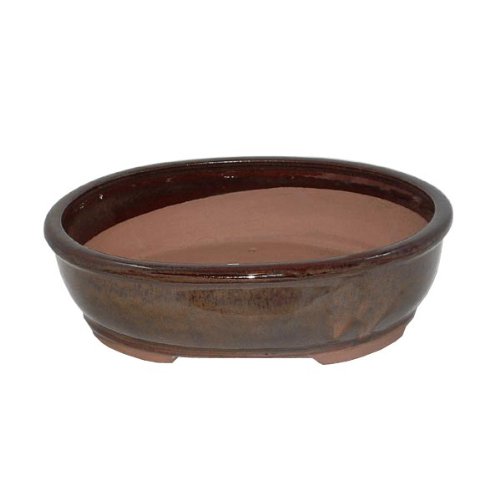 25cm Glazed Oval Bonsai Pot - Brown