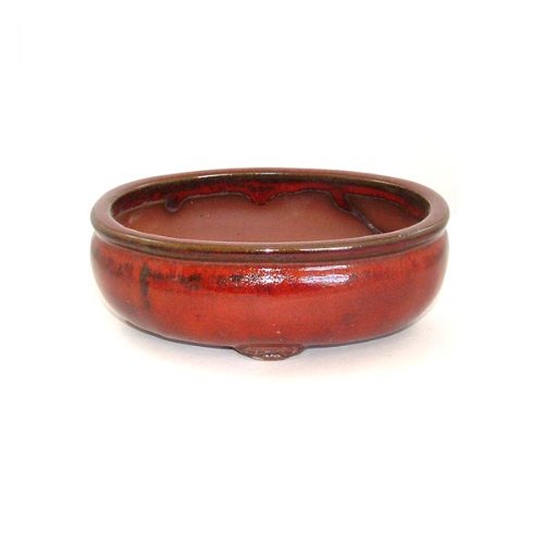 Reddish Oval Glazed Bonsai Pot