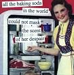all the baking soda in the world could not mask the scent of her despair by anne taintor