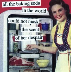 all the baking soda in the world could not mask the scent of her despair by anne taintor