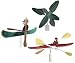 Rome Whirligigs