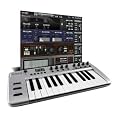 M-Audio Keyrig 25 25-note  Synth-Action Keyboard and Midi Controller